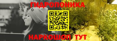 дмт Будённовск