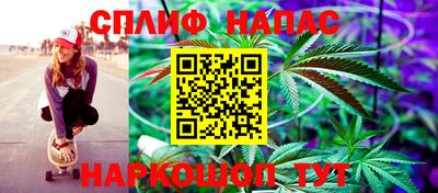 дмт Будённовск