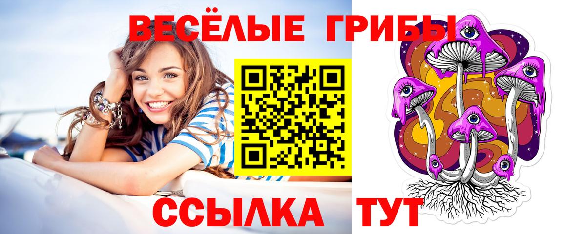 Саянск  Псилоцибиновые грибы Psilocybine cubensis  хочу наркоту  Вход с VPN 